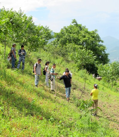 A community leader guides a team of student research assistants, measuring trees in community forests and plantations.